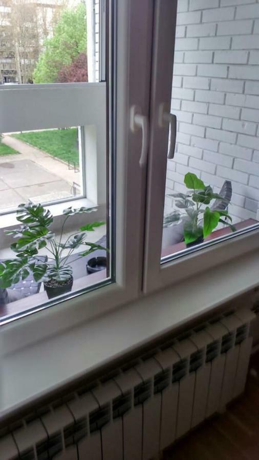 Apartman Oslo بلغراد المظهر الخارجي الصورة